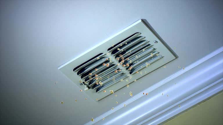 Best Duct Cleaning for Offices  in Cortez, FL
