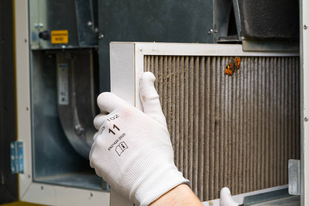 Best Best Air Duct Cleaning Company  in Cortez, FL