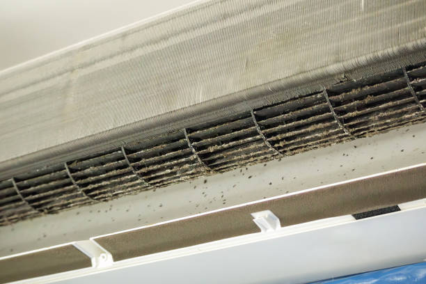 Best Local Air Duct Cleaning Services  in Cortez, FL